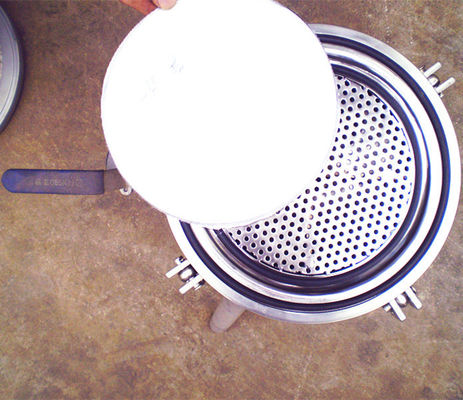 SS 304/SS316L Micron Rating 0.22-100 Um Industrial Grape Juicer with Automatic Filtering