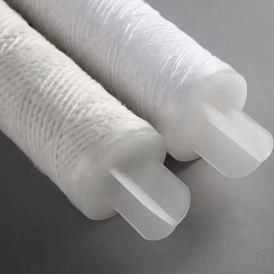 0.1 Micron Pes Membrane Liquid Filtration Filter Cartridges with Outer Diameter 63.5mm±1mm