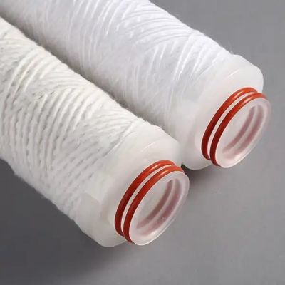 0.1 Micron Pes Membrane Liquid Filtration Filter Cartridges with Outer Diameter 63.5mm±1mm
