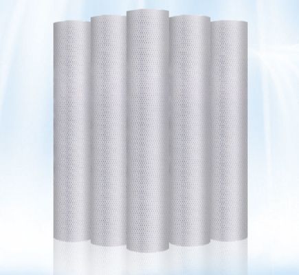 1 kg Weight Sediment Water Filter for Clear Spa and Pool Water 500L/Hour Productivity