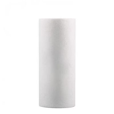1 kg Weight Sediment Water Filter for Clear Spa and Pool Water 500L/Hour Productivity